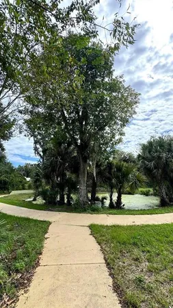 a picture of tree