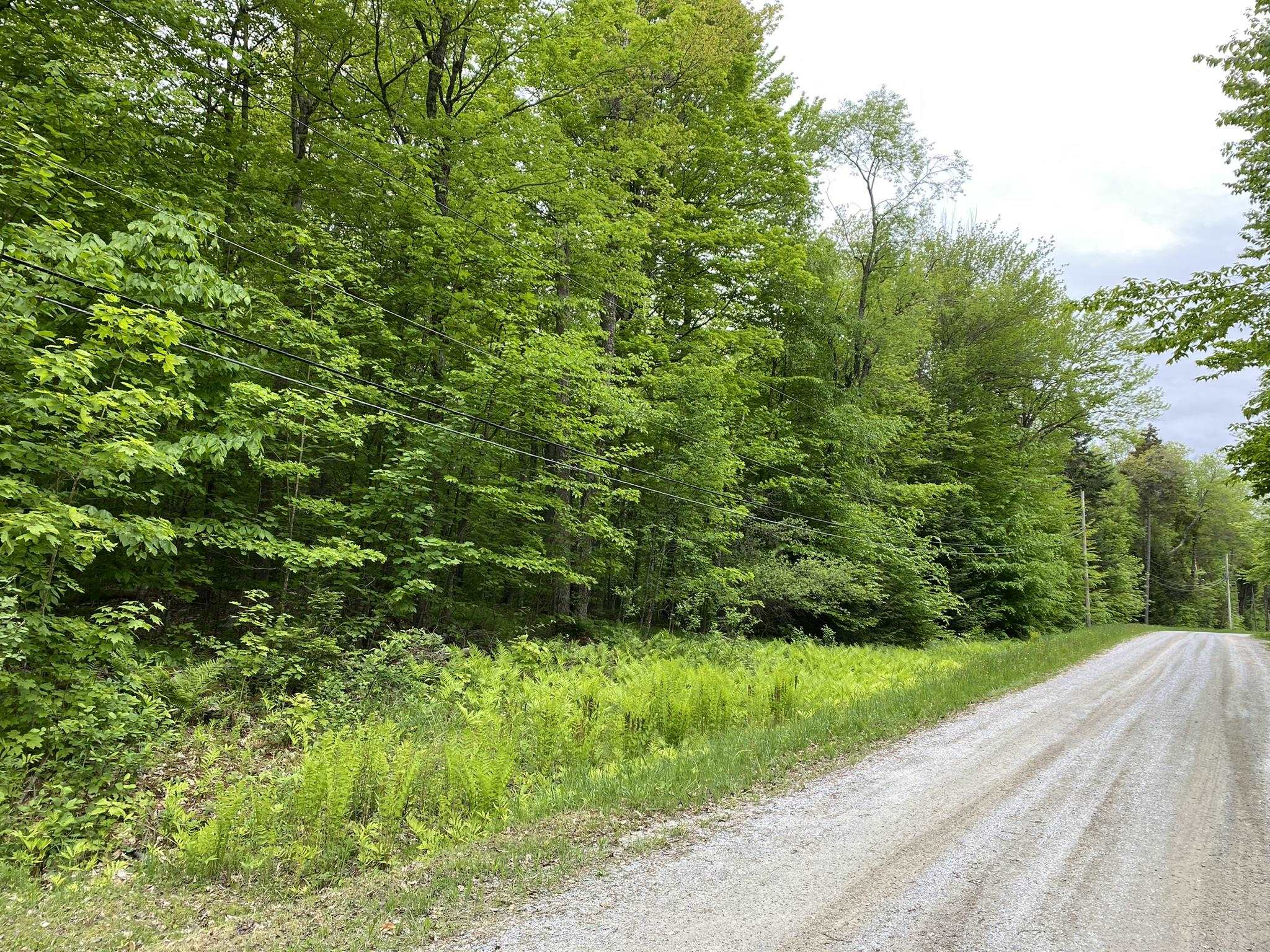 Lot 1 Crown Point Road Plymouth, VT 05056 - Photo 1 of 23