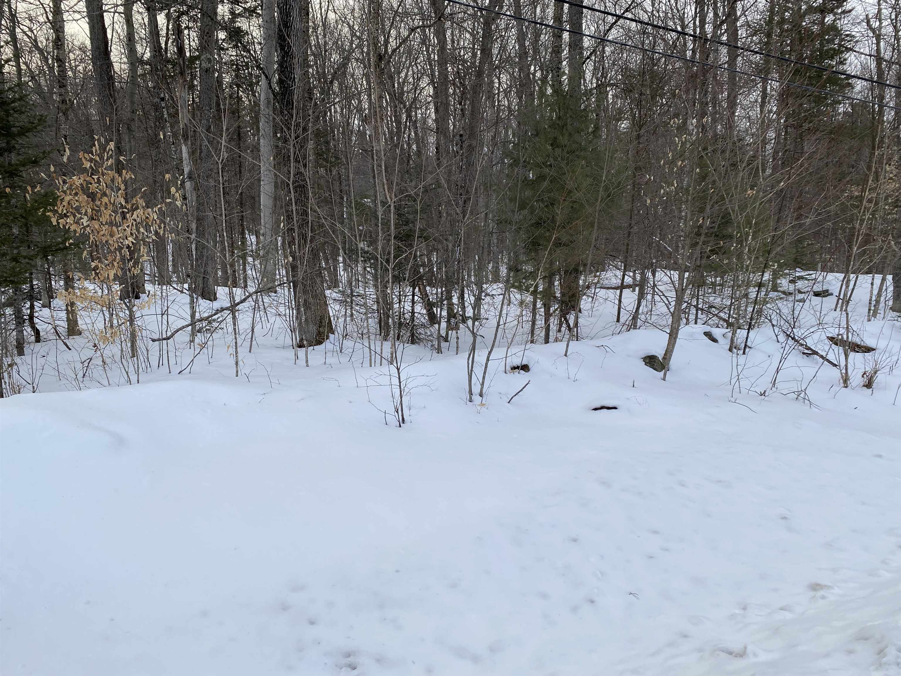 Lot 1 Crown Point Road Plymouth, VT 05056 - Photo 12 of 23