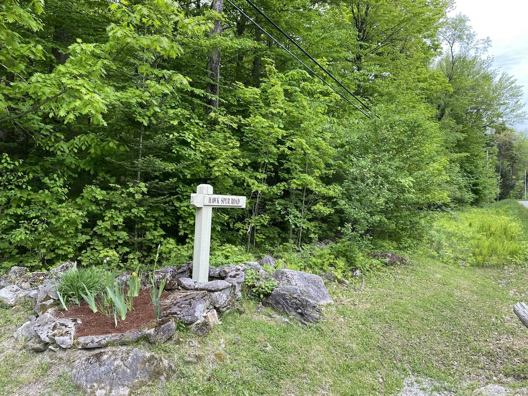 Lot 1 Crown Point Road Plymouth, VT 05056 - Photo 3 of 23