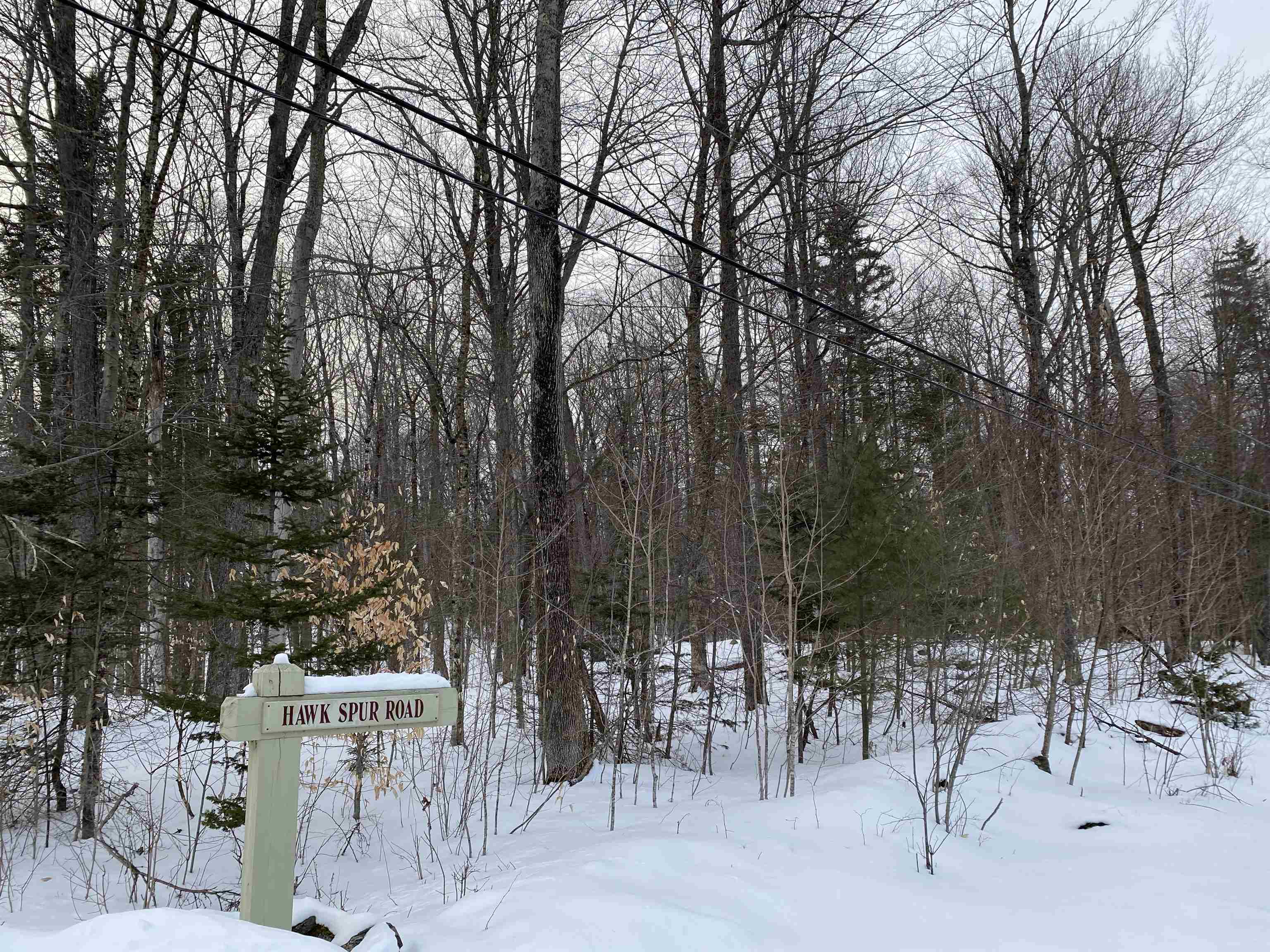 Lot 1 Crown Point Road Plymouth, VT 05056 - Photo 7 of 23