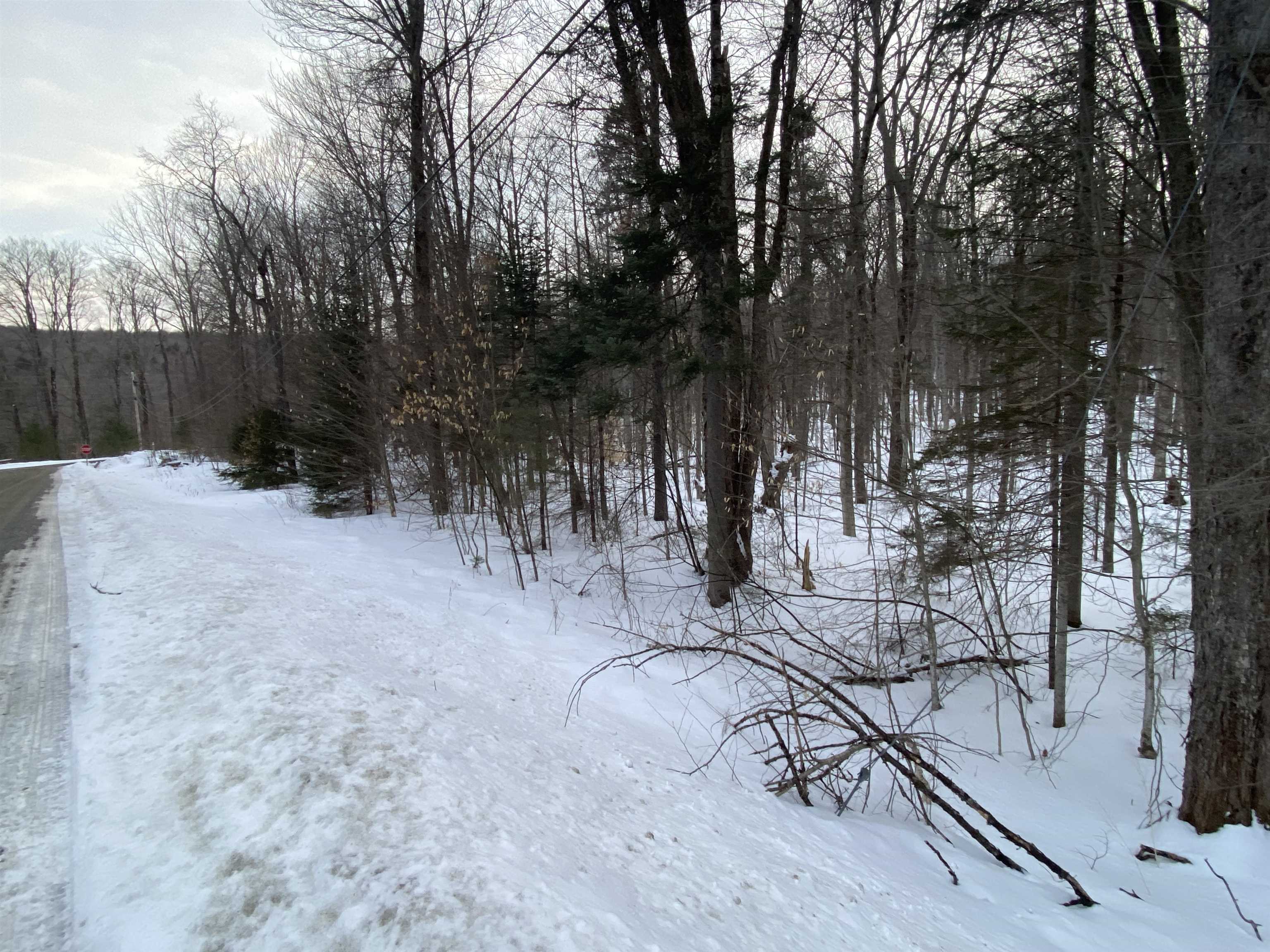 Lot 1 Crown Point Road Plymouth, VT 05056 - Photo 8 of 23