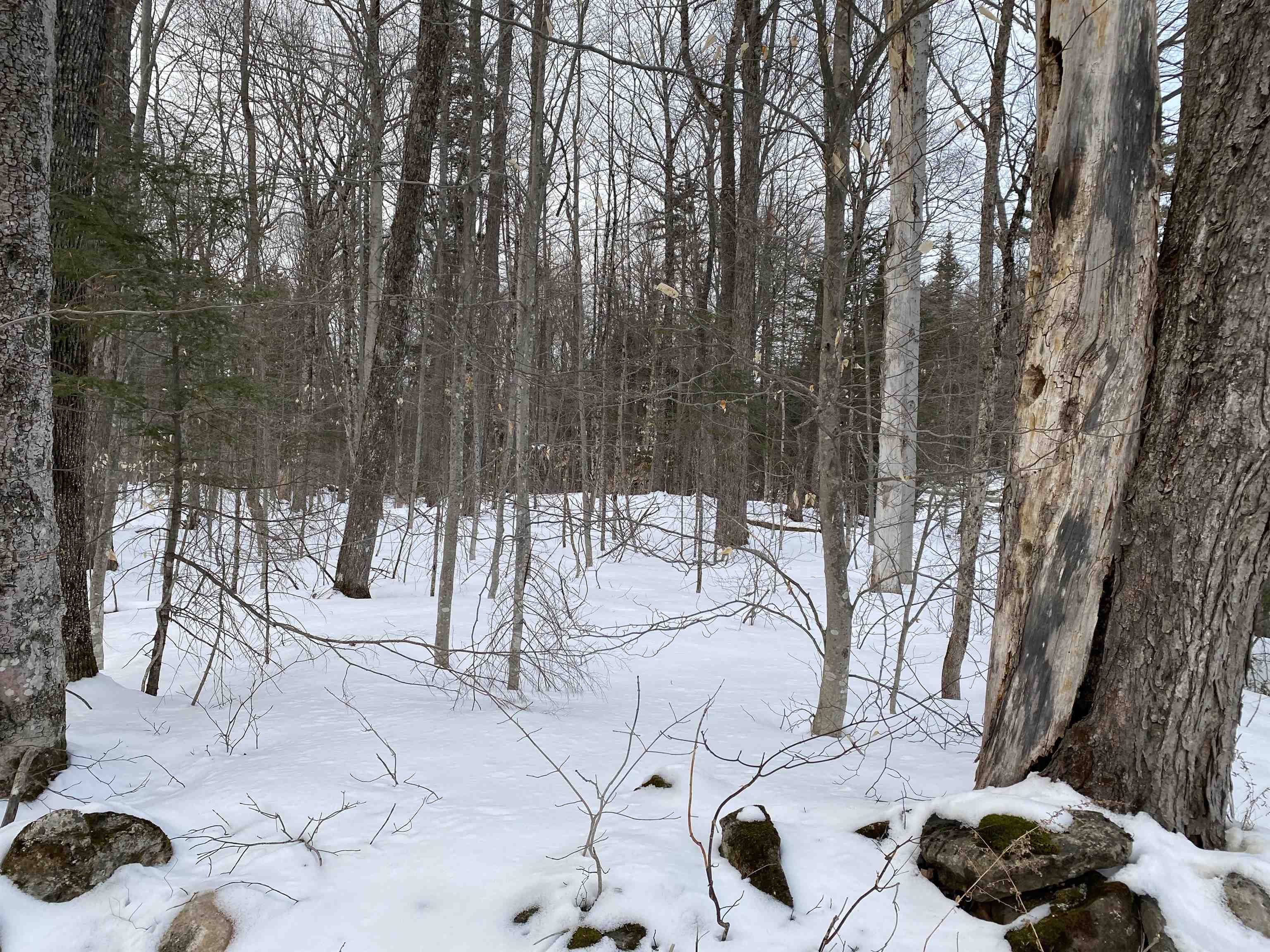 Lot 1 Crown Point Road Plymouth, VT 05056 - Photo 9 of 23