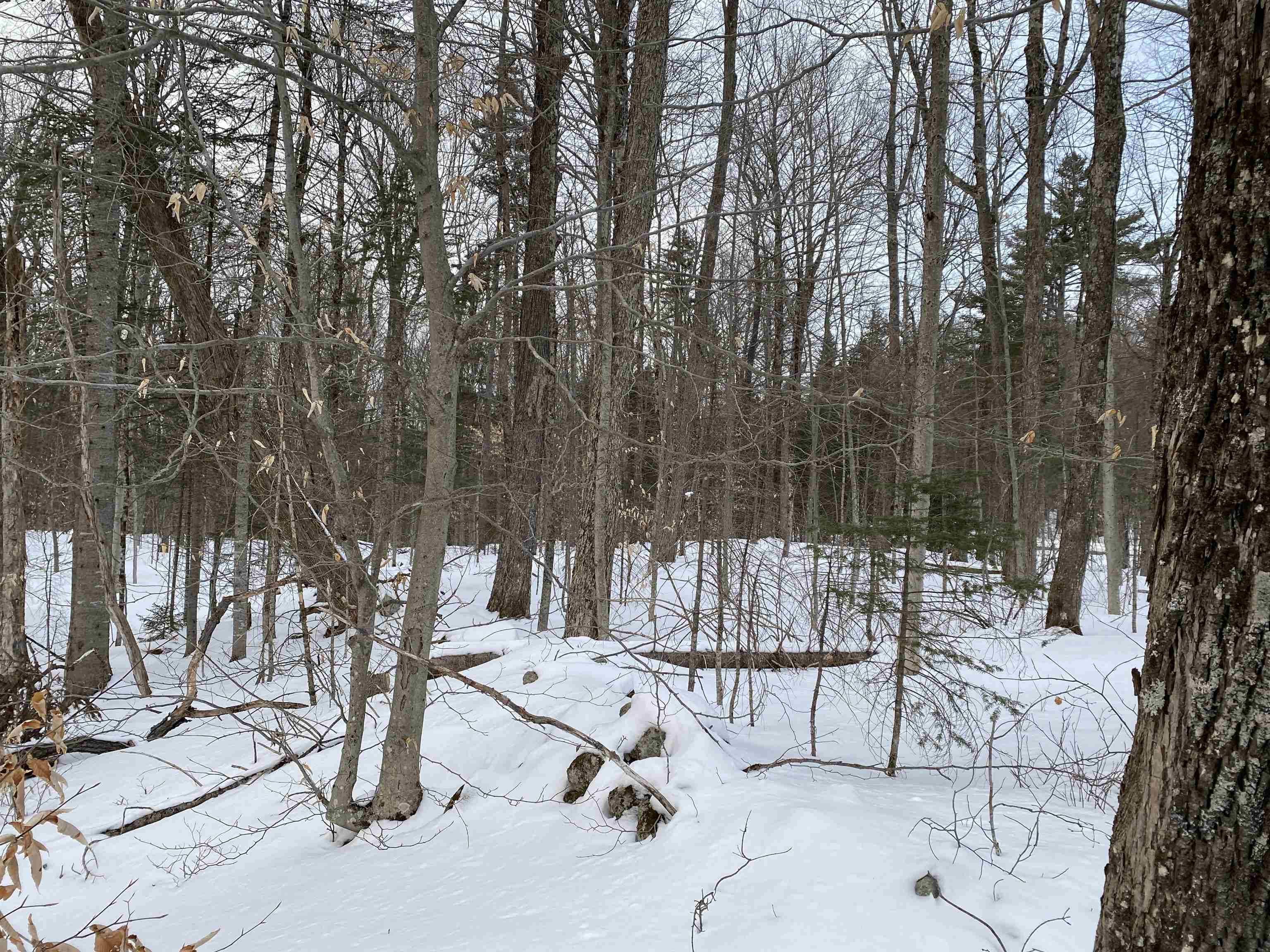 Lot 1 Crown Point Road Plymouth, VT 05056 - Photo 10 of 23