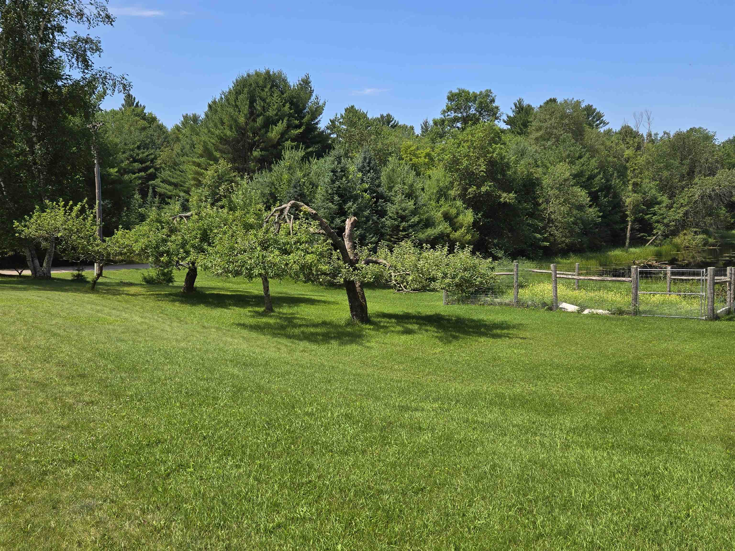 E3538 Boelter Road Iola, WI 54945 - Photo 7 of 30