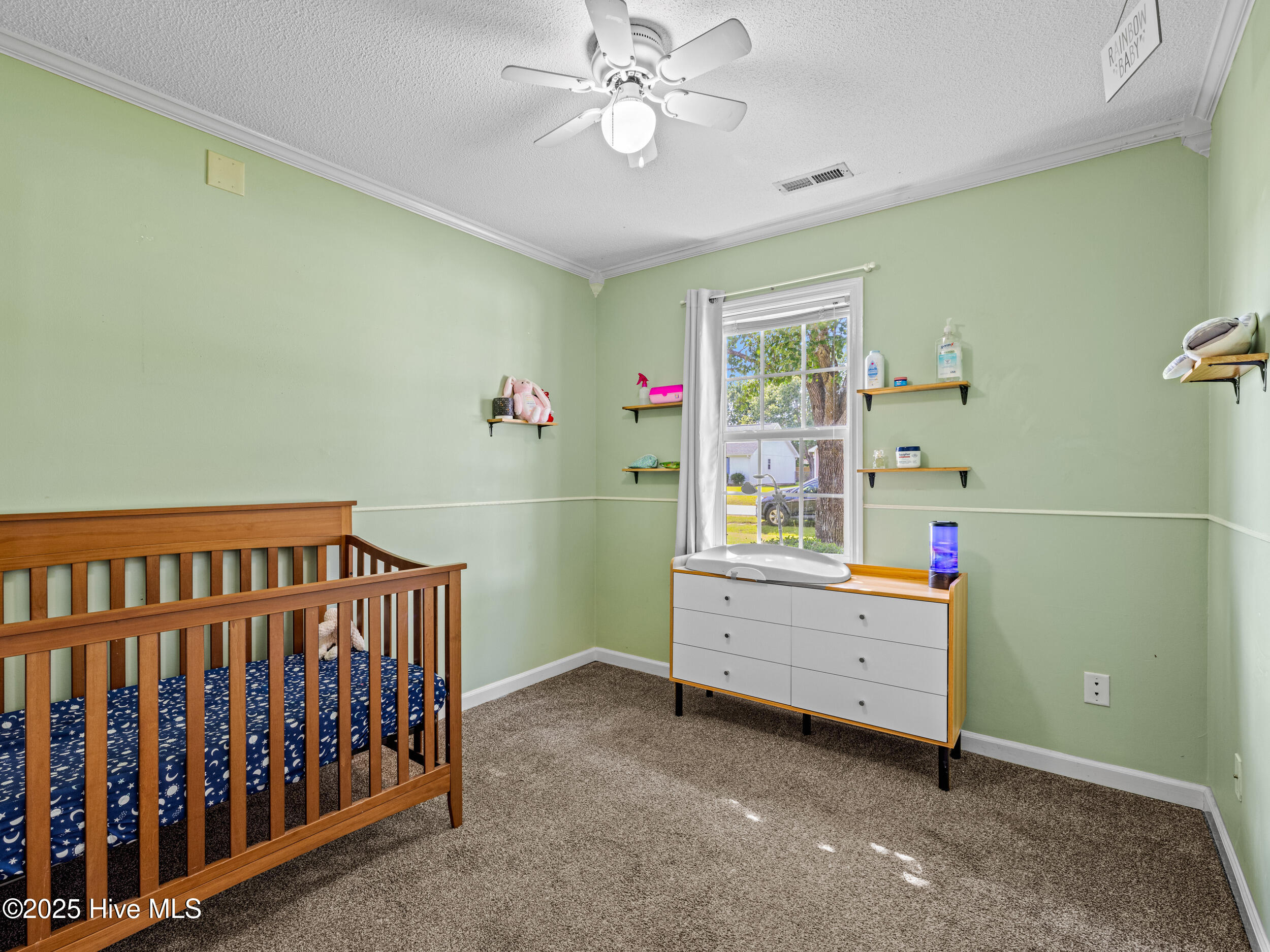 245 Parnell Road Hubert, NC 28539 - Photo 26 of 47 025a3609