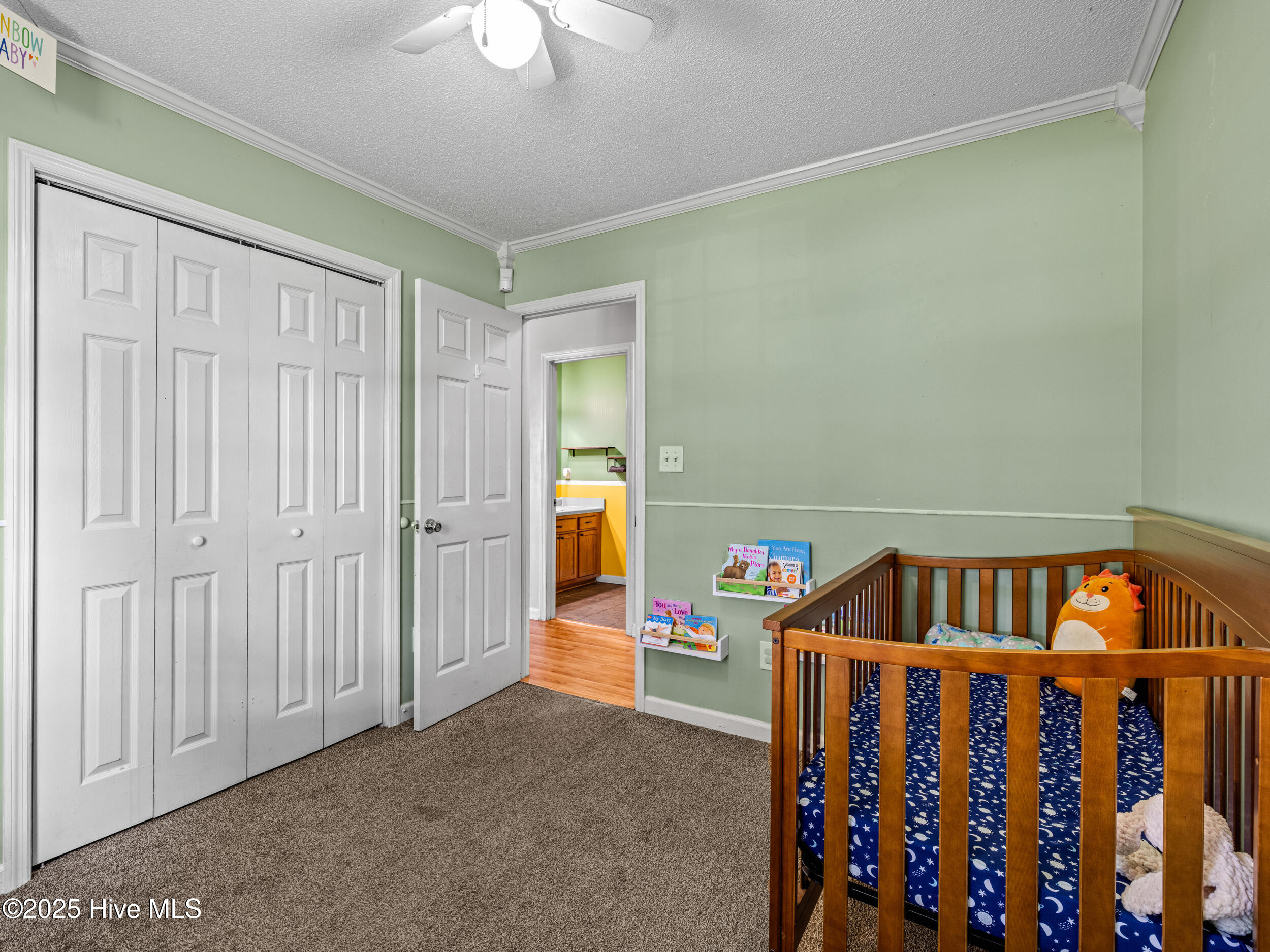 245 Parnell Road Hubert, NC 28539 - Photo 27 of 47 025a3612