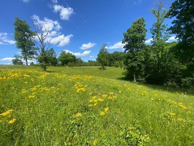 4.15 Davidson Road Burkesville, KY 42717 - Photo 2 of 6 11336306-kdGpltHhppjVLBXG