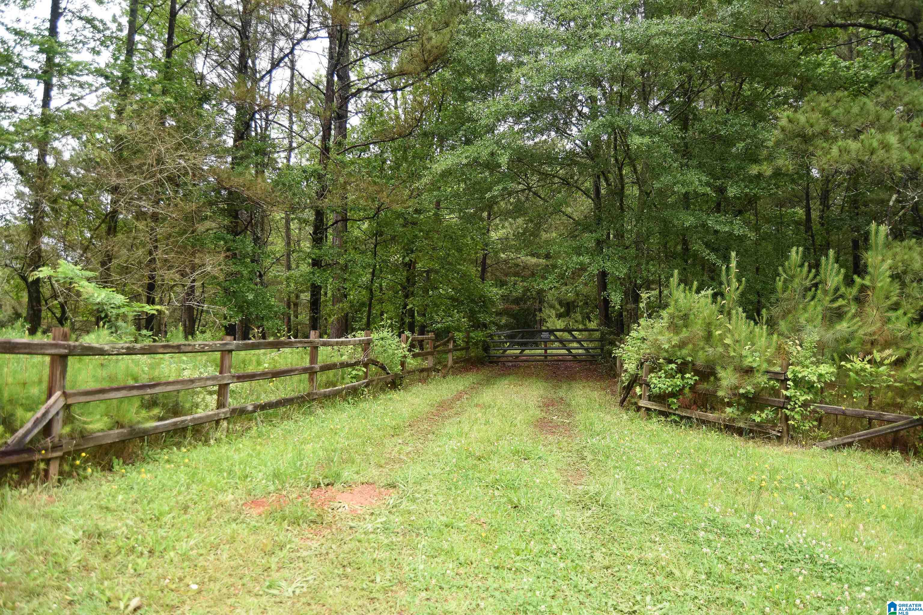 2488 Louina Road Roanoke, AL 36274 - Photo 77 of 97