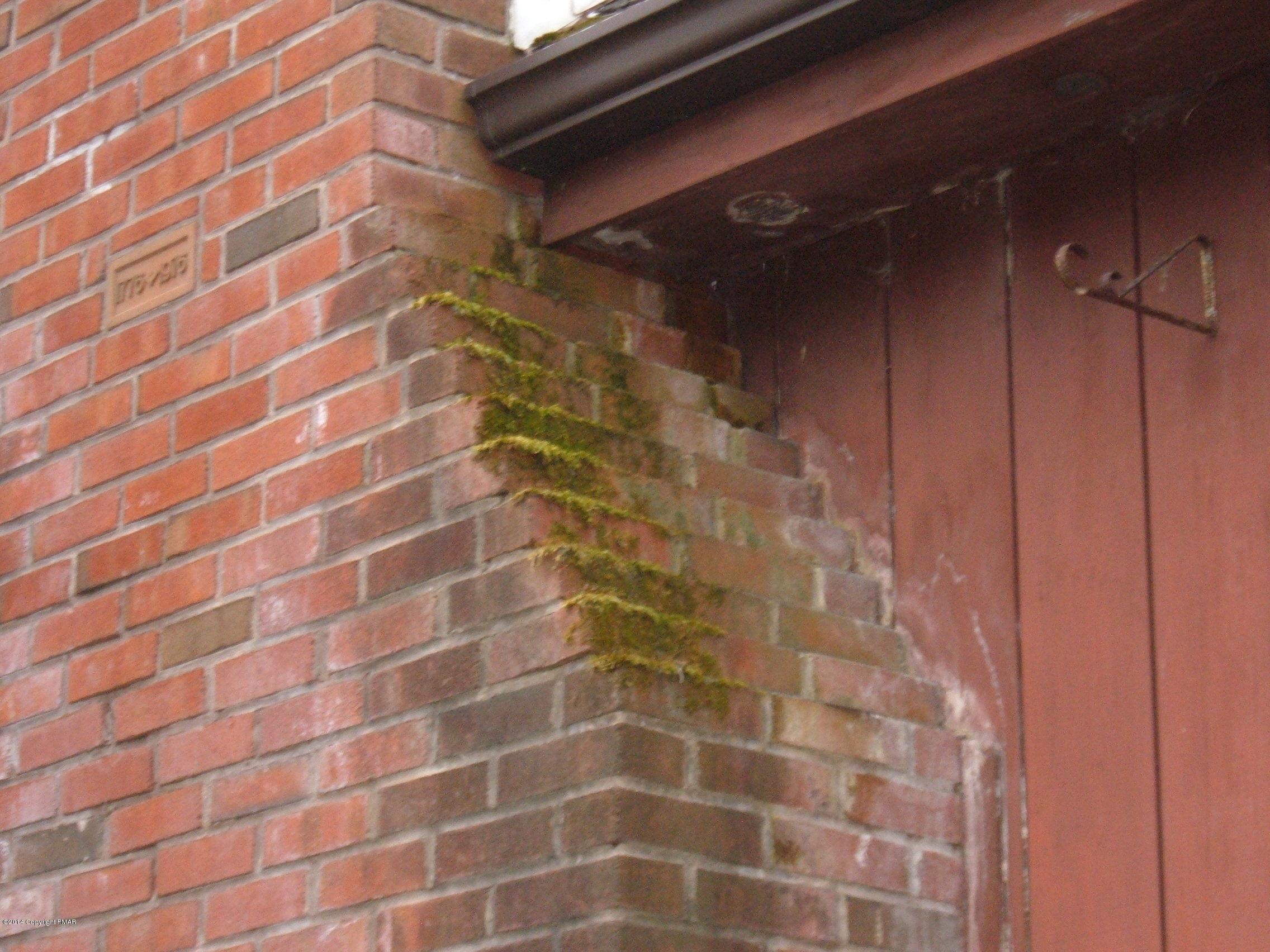 3179 Snow Hill Road Cresco, PA 18326 - Photo 13 of 46 DSCF6623