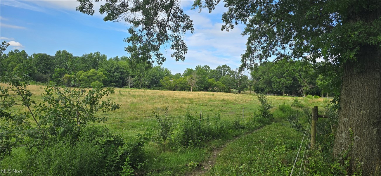 40175 Banks Road Grafton, OH 44044 - Photo 19 of 34