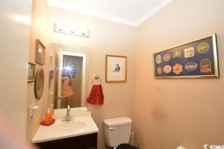 787 Causey Road Murrells Inlet, SC 29576 - Photo 20 of 35 Bathroom with toilet, crown molding, and vanity