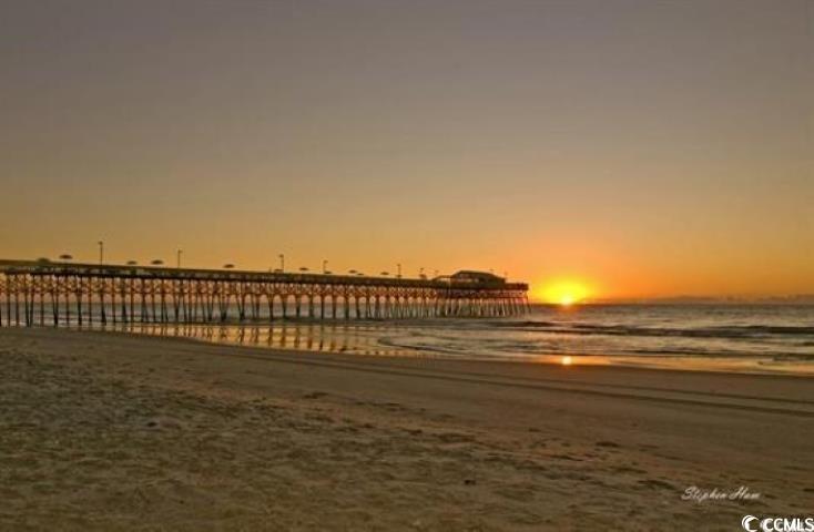 787 Causey Road Murrells Inlet, SC 29576 - Photo 31 of 35 View of water feature