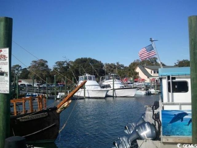 787 Causey Road Murrells Inlet, SC 29576 - Photo 32 of 35 Dock area with a water view