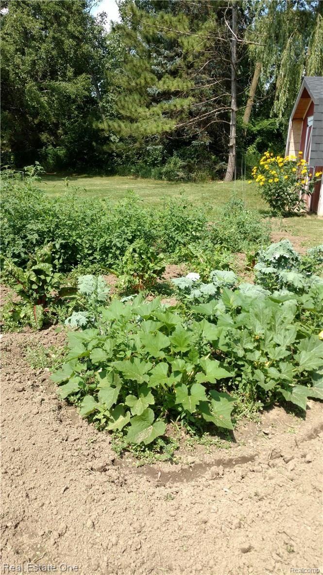 8337 Rondale Drive Grand Blanc, MI 48439 - Photo 17 of 21 GARDEN ALREADY PLANTED FOR YOUR ENJOYMENT