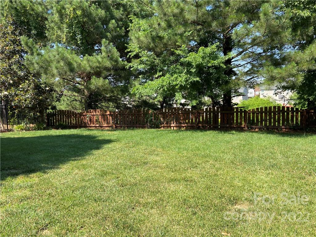 6734 Evanton Loch Road Charlotte, NC 28278 - Photo 7 of 34 a view of yard with green space