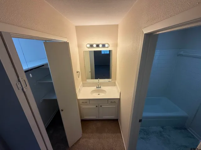 a bathroom with a sink a toilet and a mirror