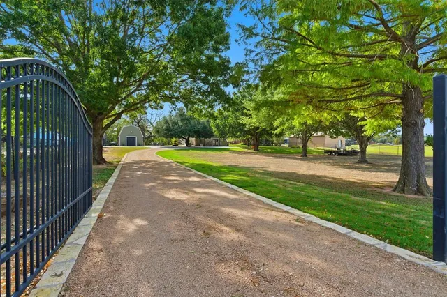 a view of a park with large trees