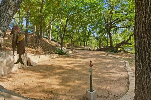 a view of yard with tree