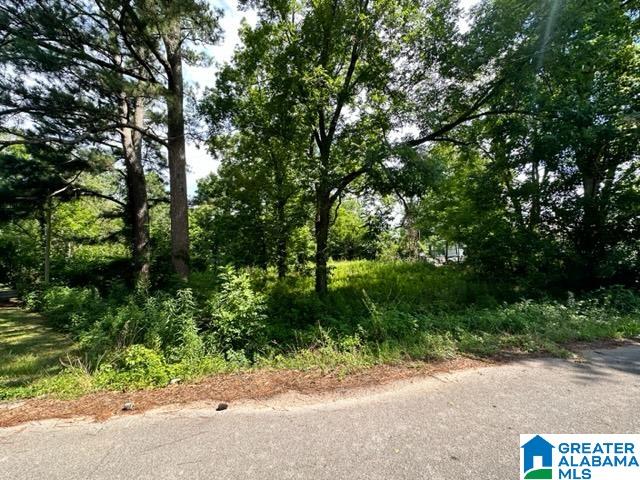1275 20th Avenue Calera, AL 35040 - Photo 13 of 18