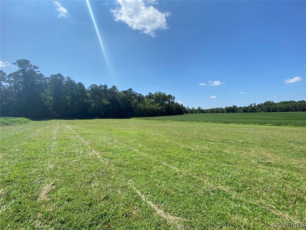 2880 Laurel Springs Road Spring Grove, VA 23881 - Photo 42 of 50 Gallery Image 42