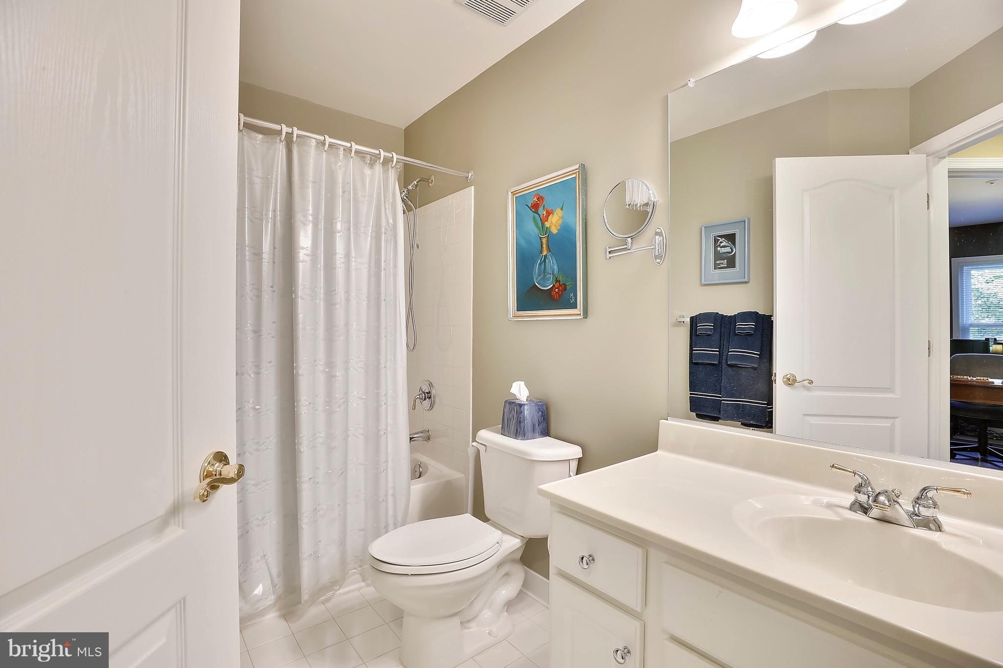 10222 Rutland Round Road, Unit 29 Columbia, MD 21044 - Photo 19 of 28 Hall Bathroom