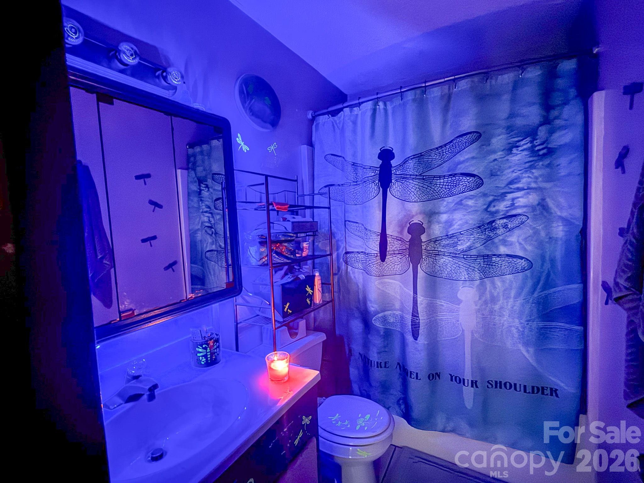 4562 Grassy Creek Road Denver, NC 28037 - Photo 24 of 24 a bathroom with a sink a toilet and shower curtain