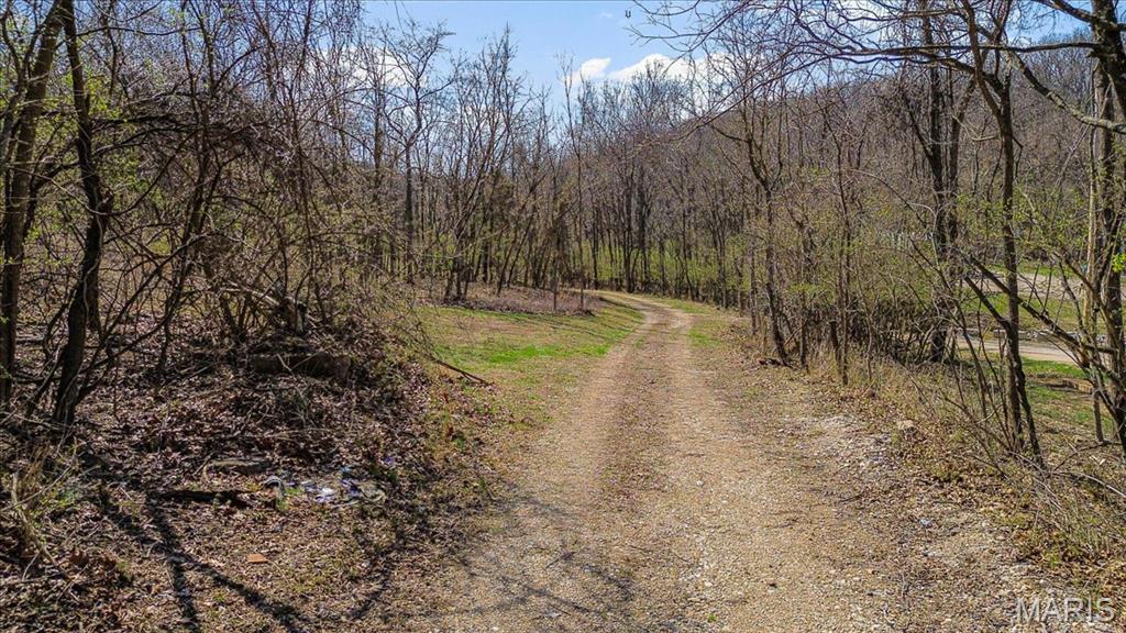 2955 Greenwood Drive High Ridge, MO 63049 - Photo 2 of 11