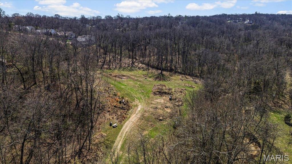 2955 Greenwood Drive High Ridge, MO 63049 - Photo 6 of 11