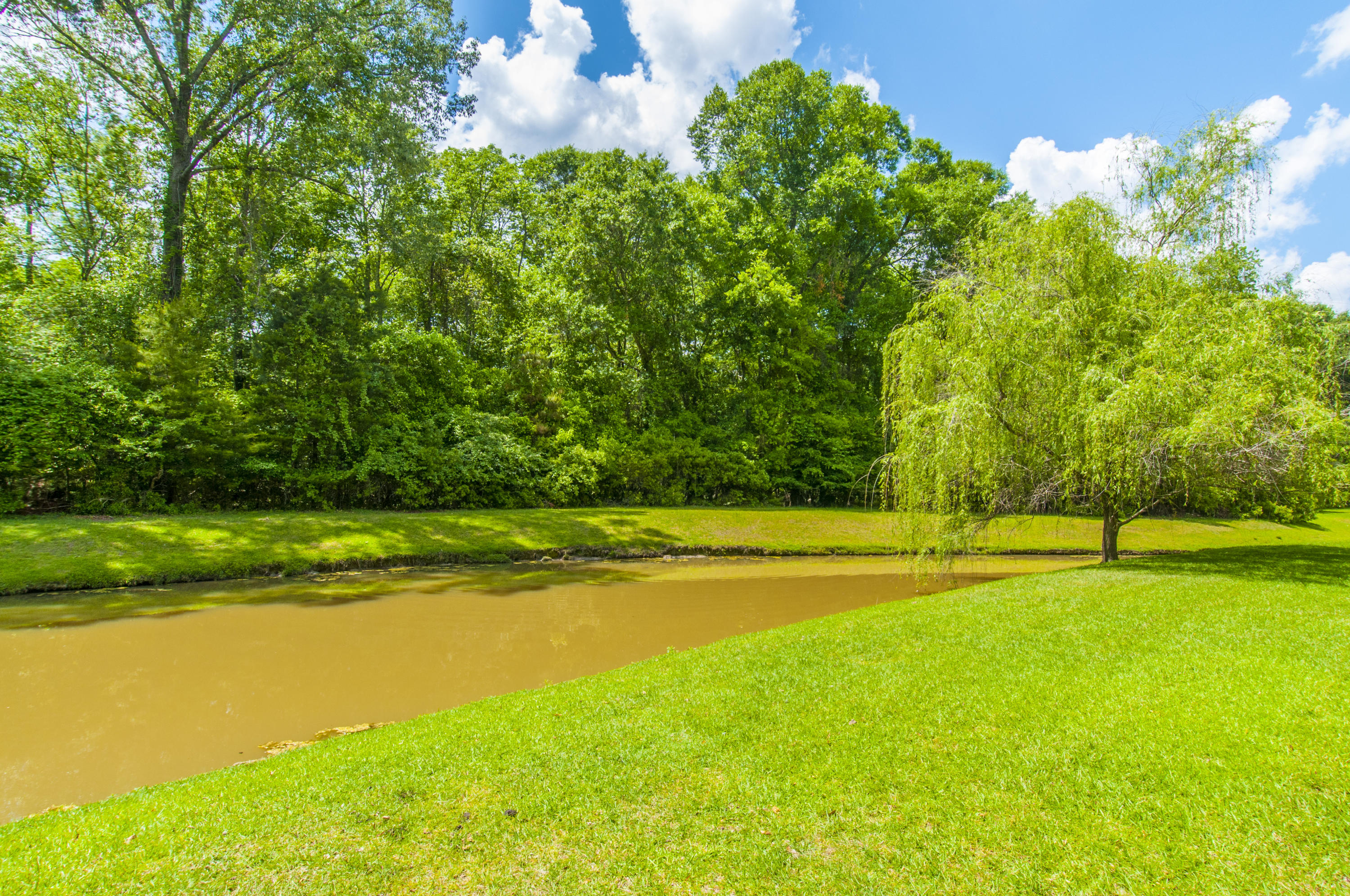 159 Oakbluff Road Summerville, SC 29485 - Photo 40 of 41 _DSC8711
