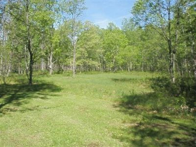 7776 Sauble Road Branch, MI 49402 - Photo 5 of 19 LAND