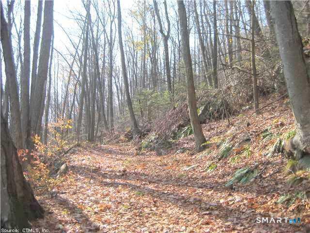 168 Cascade Ridge Southington, CT 06489 - Photo 2 of 9
