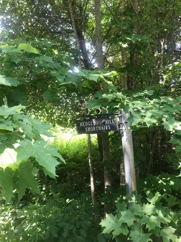 $365,000 | 705 Hedgehog Hill Road South, Belmont, VT 05730