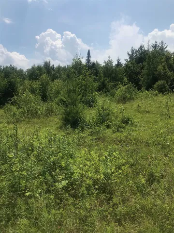 $365,000 | 705 Hedgehog Hill Road South, Belmont, VT 05730