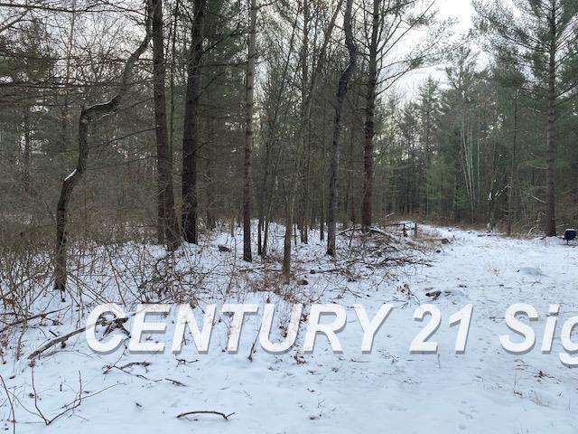 0 West Wackerly Road Sanford, MI 48657 - Photo 2 of 19