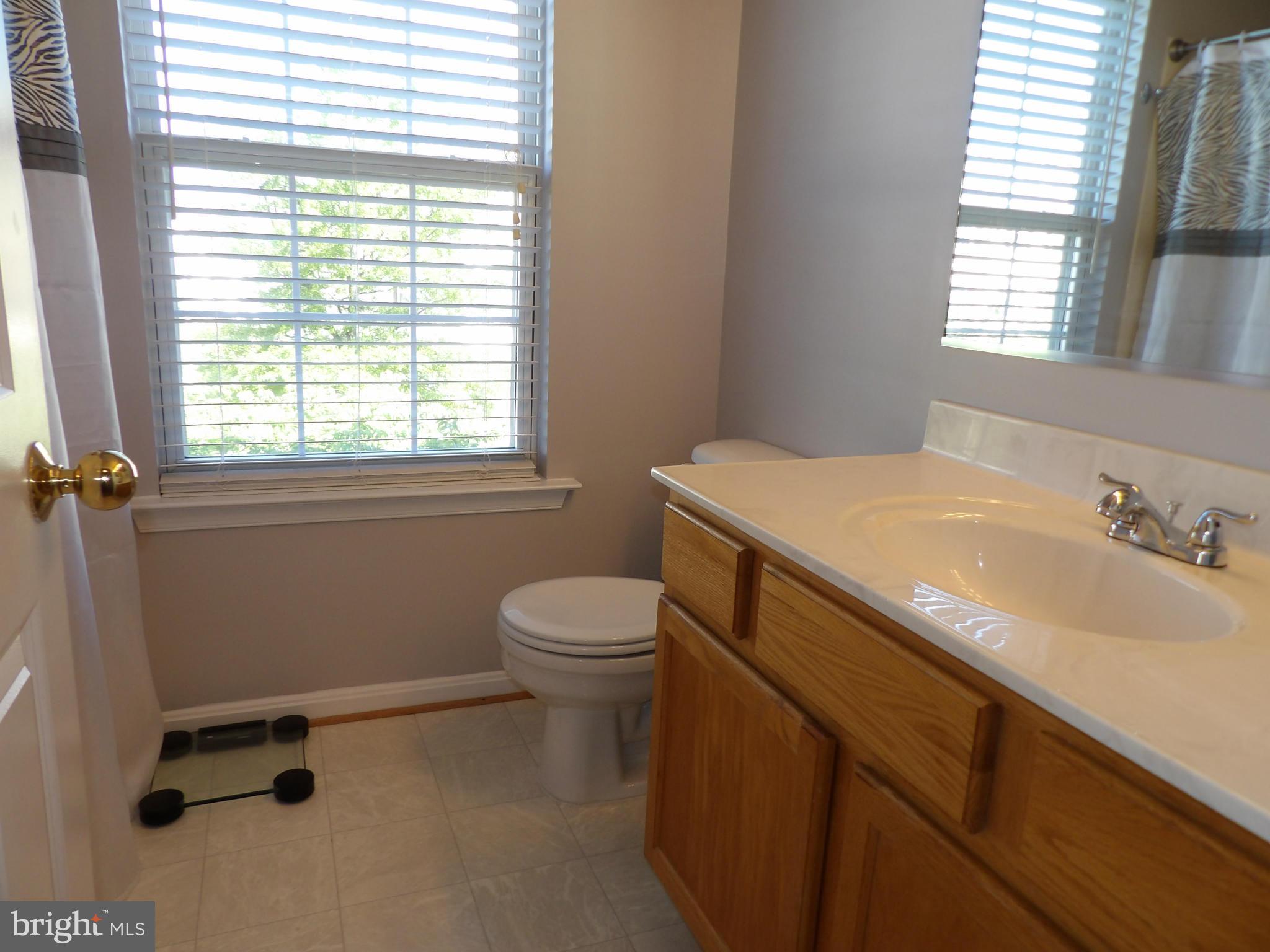 2001 Ripley Point Court Odenton, MD 21113 - Photo 14 of 29 Hall bath on second floor.