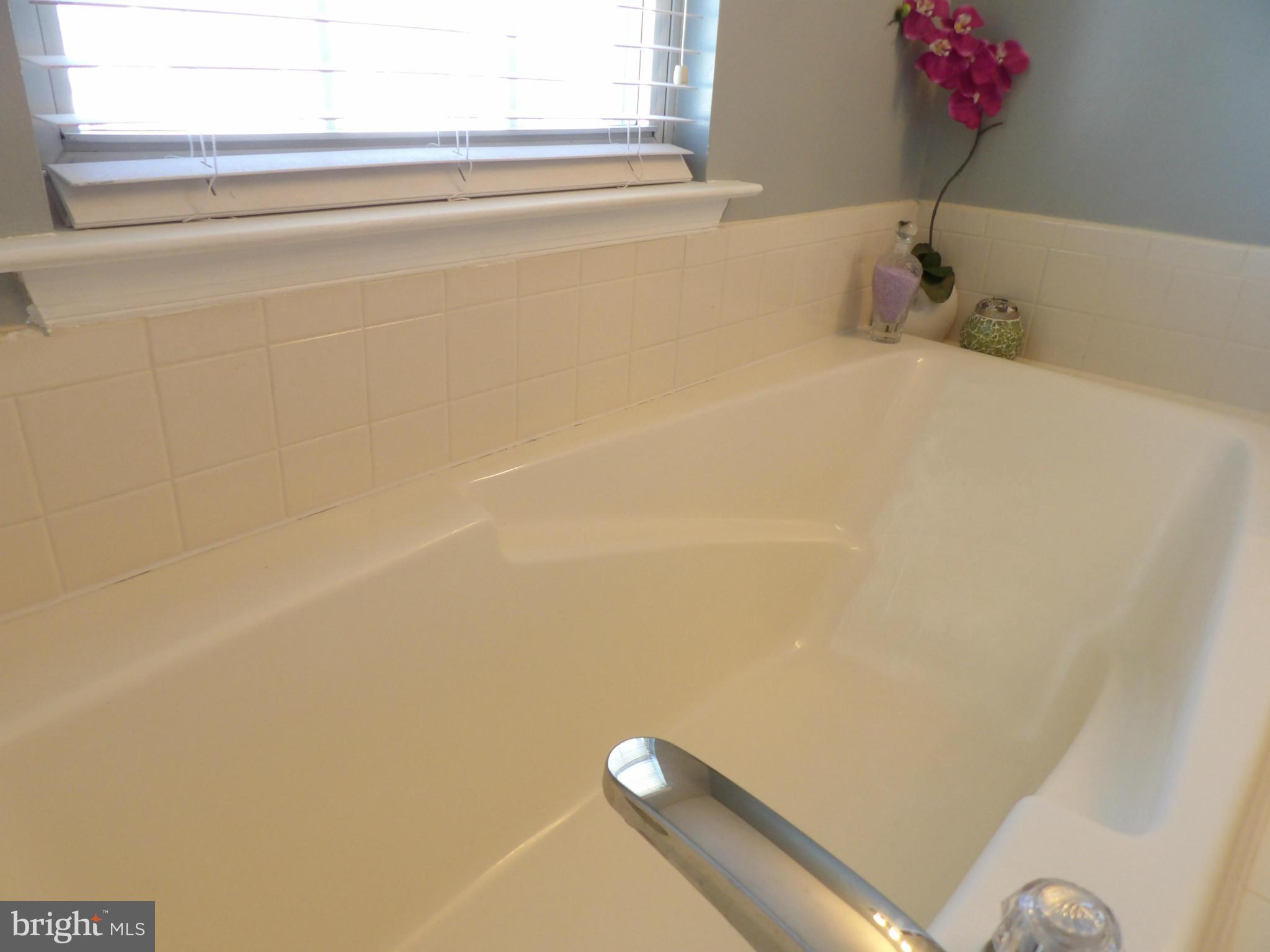 2001 Ripley Point Court Odenton, MD 21113 - Photo 22 of 29 Enjoy an evening soak in your tub.