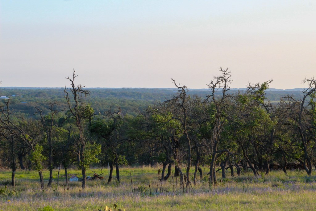 556 Juenke Ranch Road, Unit 5 Harper, TX 78631 - Photo 3 of 6 Gallery Image 3