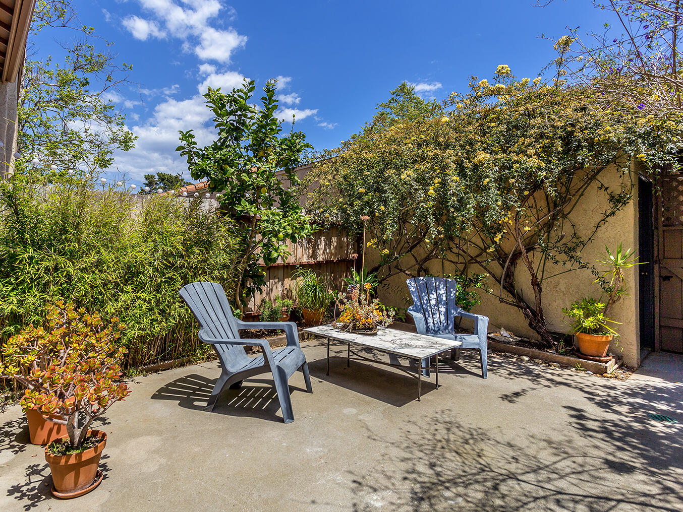 6048 Jacaranda Way, Unit C Carpinteria, CA 93013 - Photo 8 of 24 Patio