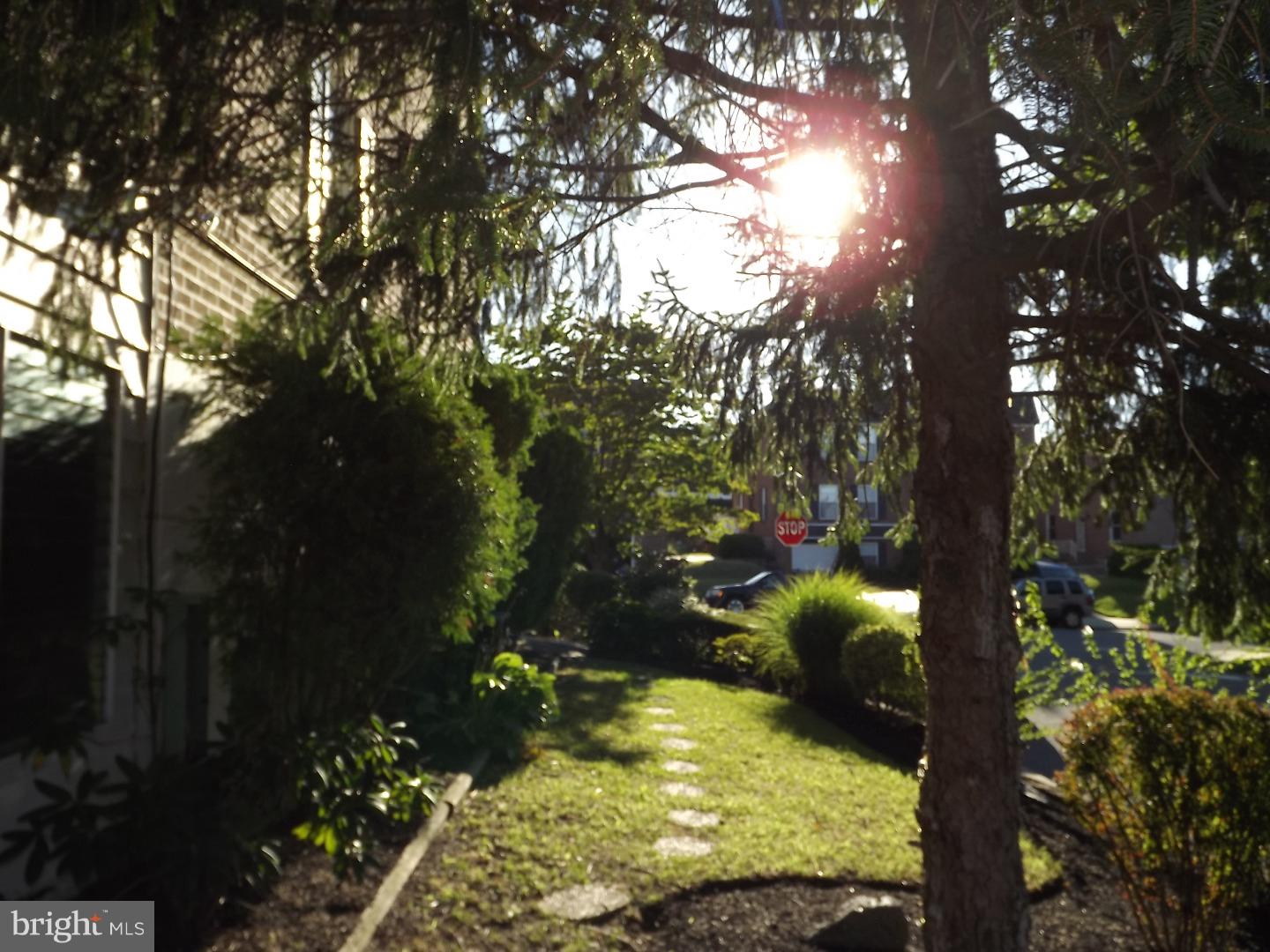 227 Greendale Road Philadelphia, PA 19154 - Photo 23 of 25 Side Yard
