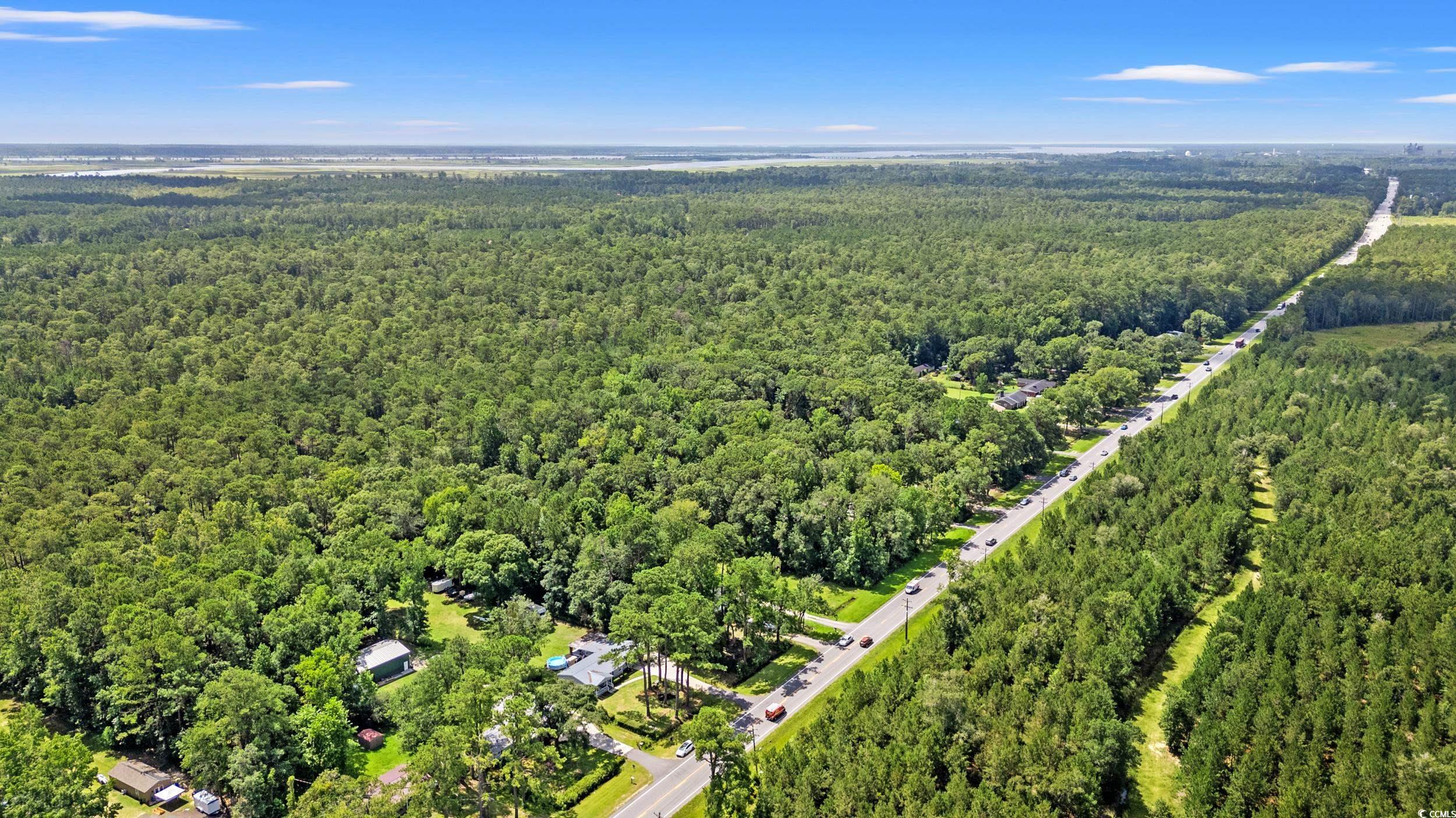 3974 North Fraser Street Georgetown, SC 29440 - Photo 33 of 36 Aerial view of property's location featuring a forest
