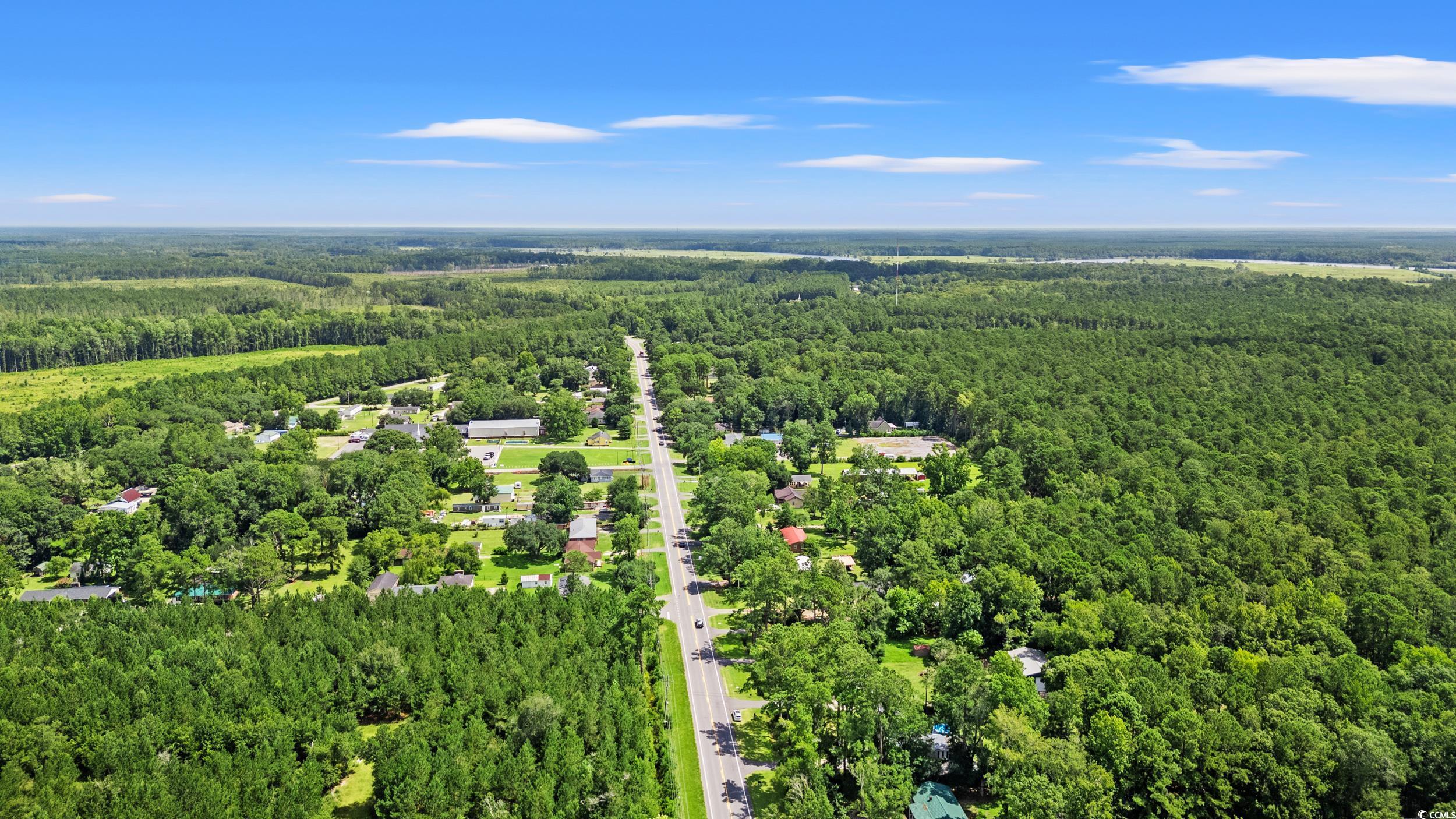 3974 North Fraser Street Georgetown, SC 29440 - Photo 34 of 36 Aerial view of a heavily wooded area