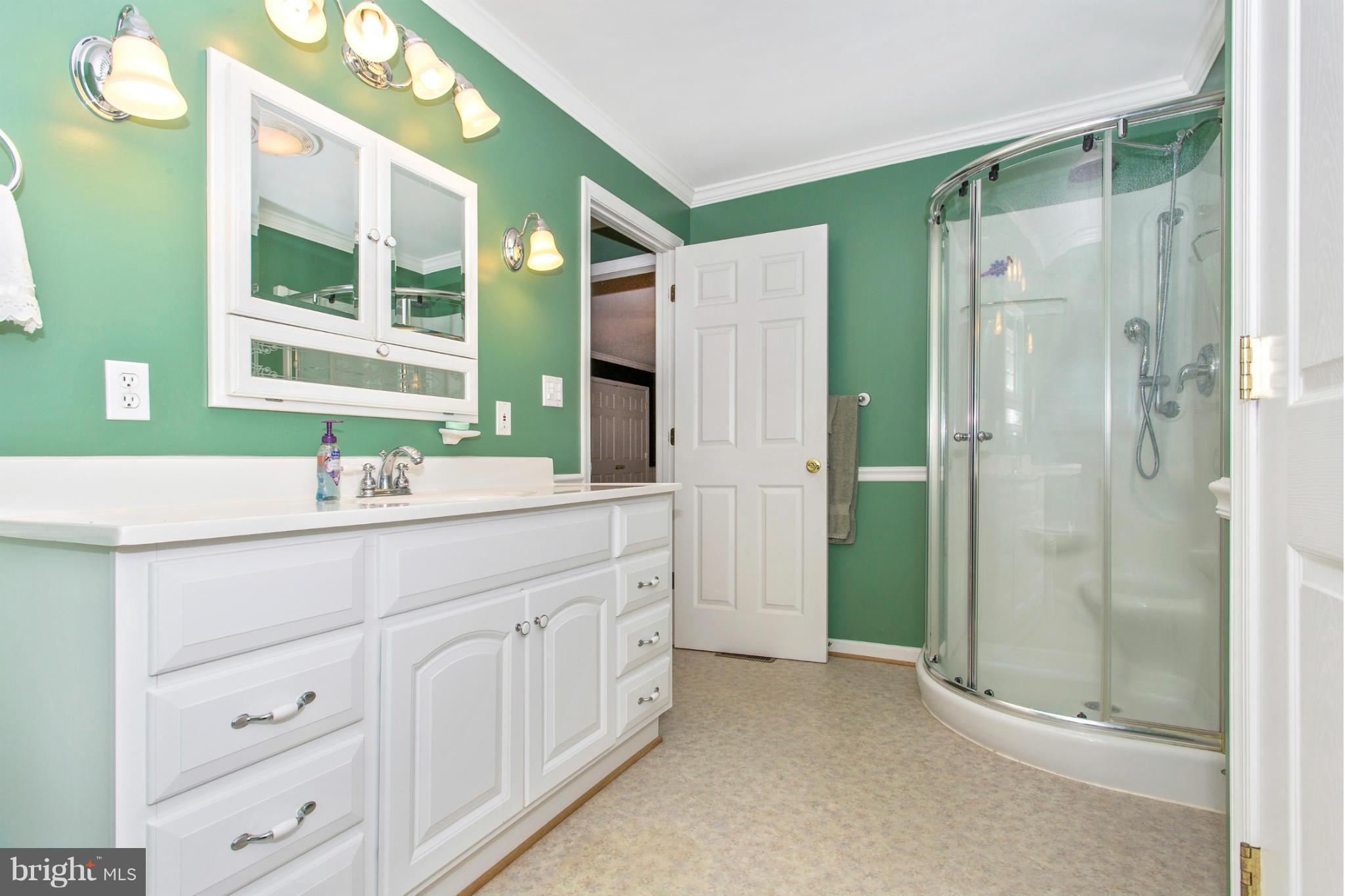 10456 Old Annapolis Road Frederick, MD 21701 - Photo 18 of 30 Bath (Master)