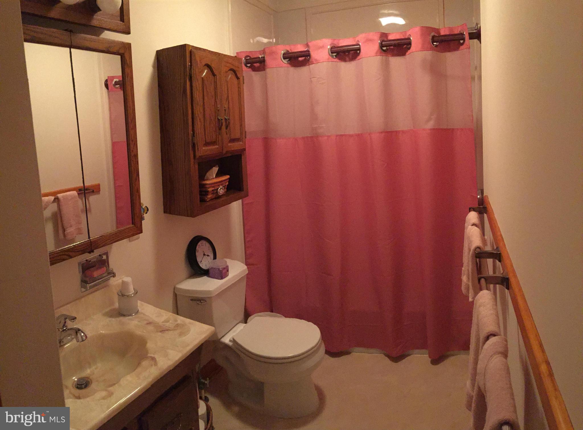 10456 Old Annapolis Road Frederick, MD 21701 - Photo 22 of 30 Hall Bath