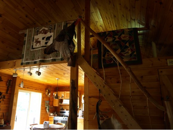 335 Maroney Road German, NY 13801 - Photo 10 of 17 Gallery Image 10