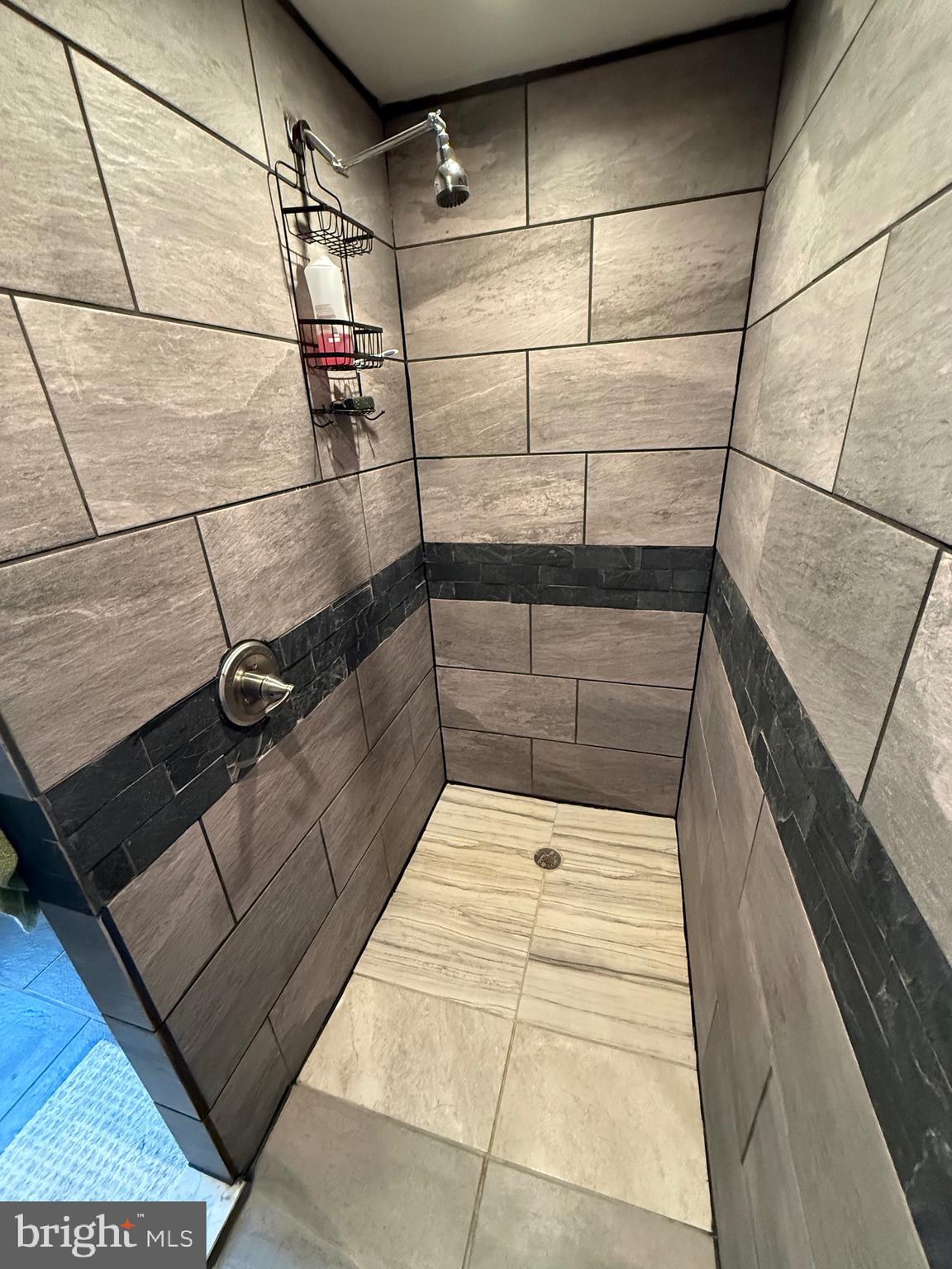 106 North Rock Ridge Lane Mount Storm, WV 26739 - Photo 20 of 78 a bathroom with a shower