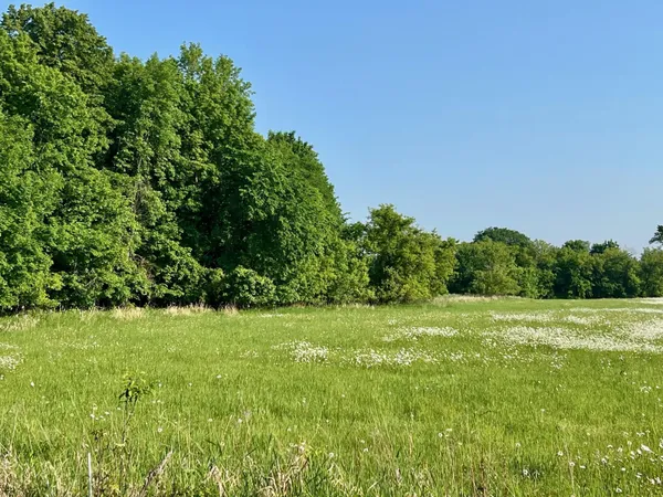 $242,000 | Xxxxx Xxxxx County Road, Grantsburg, WI 54840