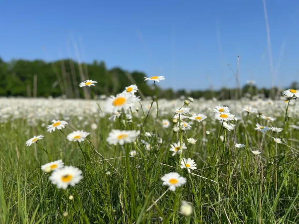 $242,000 | Xxxxx Xxxxx County Road, Grantsburg, WI 54840