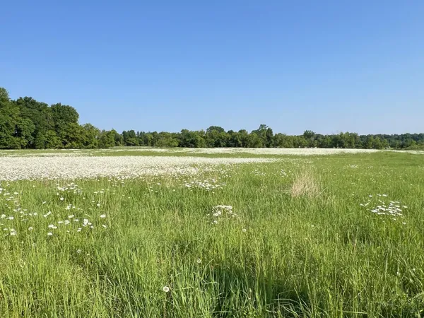 $242,000 | Xxxxx Xxxxx County Road, Grantsburg, WI 54840