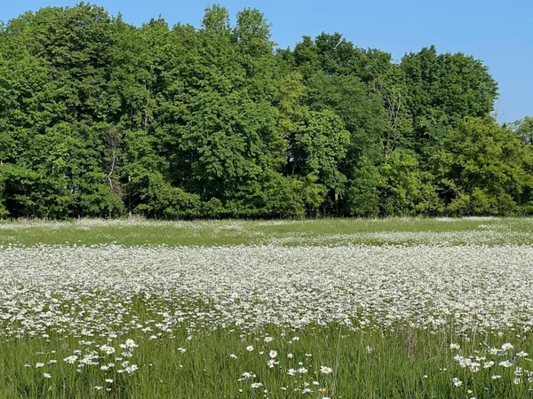 $242,000 | Xxxxx Xxxxx County Road, Grantsburg, WI 54840